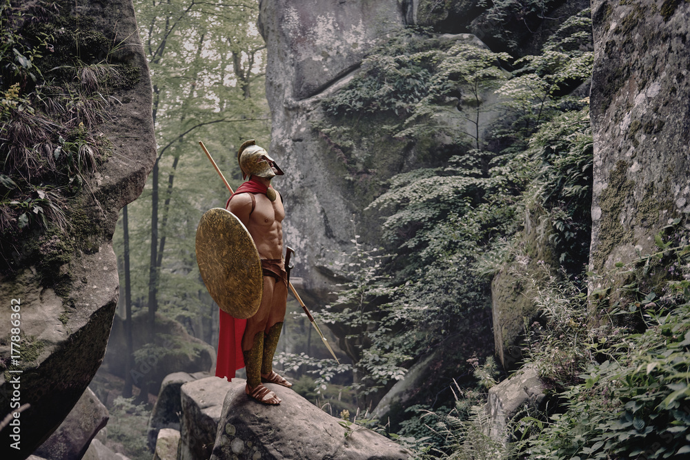Full length shot of a Spartan soldier with perfect strong muscular body standing on a rock in the woods.