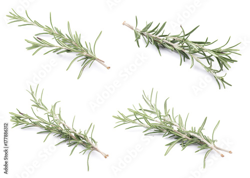 Fresh Rosemary