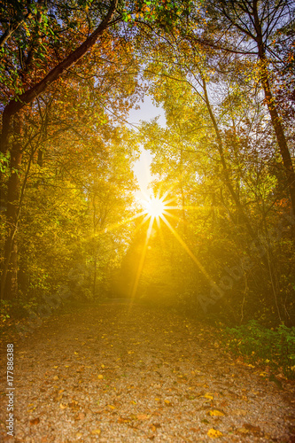 Herbstlicht