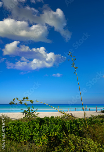 Holbox Island in Quintana Roo Mexico