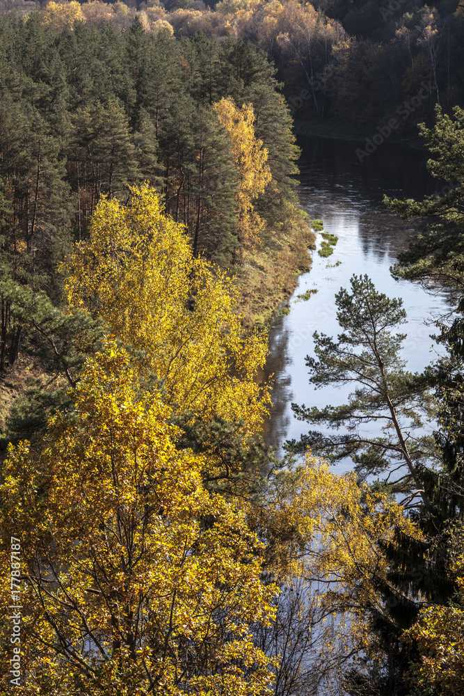 Fototapeta premium Autumn