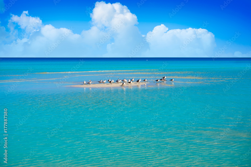 Holbox Island turquoise in Quintana Roo Mexico Holbox Island turquoise in Quintana Roo Mexico