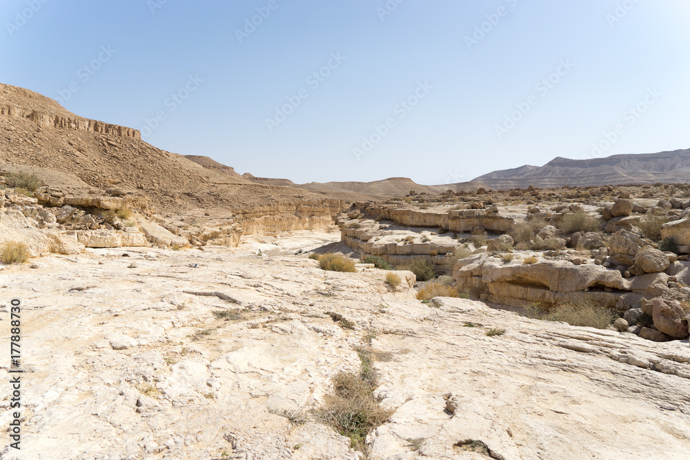 Israeli desert travel