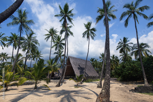 A typical Hawaiian hut surrounded by palm trees photo