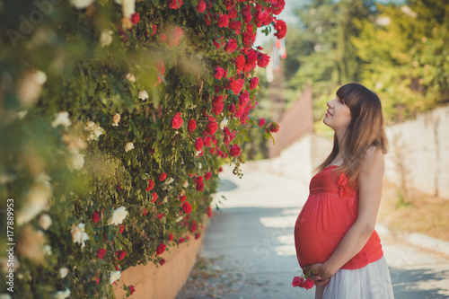 Cute pregnant young mother in airy red whit dress posing enjoying summer day close to red pink roses bush on fence holding her tummy with happy smile.LOvely picture. photo