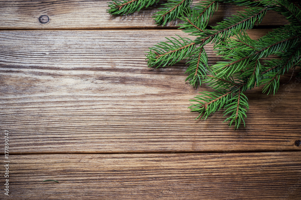 Frame from branch of Christmas tree Frame from branch of Christmas tree