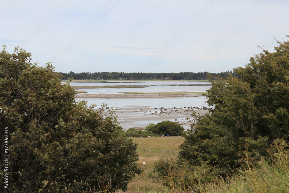 The beautiful Danish landscape