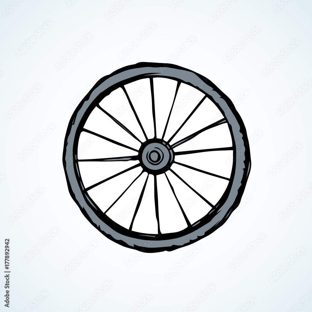 Fototapeta premium Tire. Vector drawing