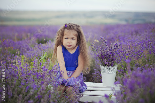Iconic blond chestnut cute fancy dressed girl posing sit in center of lavender meadow field in velvet violet airy dress with basket bucket full of flowers happyly on vacation hollydays