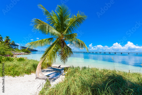 Fototapeta Naklejka Na Ścianę i Meble -  Bahia Honda State Park - Calusa Beach, Florida Keys - tropical coast with paradise beaches - USA