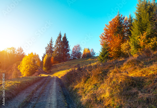 Colorful autumn landscape in the mountain village. Foggy morning in the Carpathian mountains. Sokilsky ridge  Ukraine  Europe.