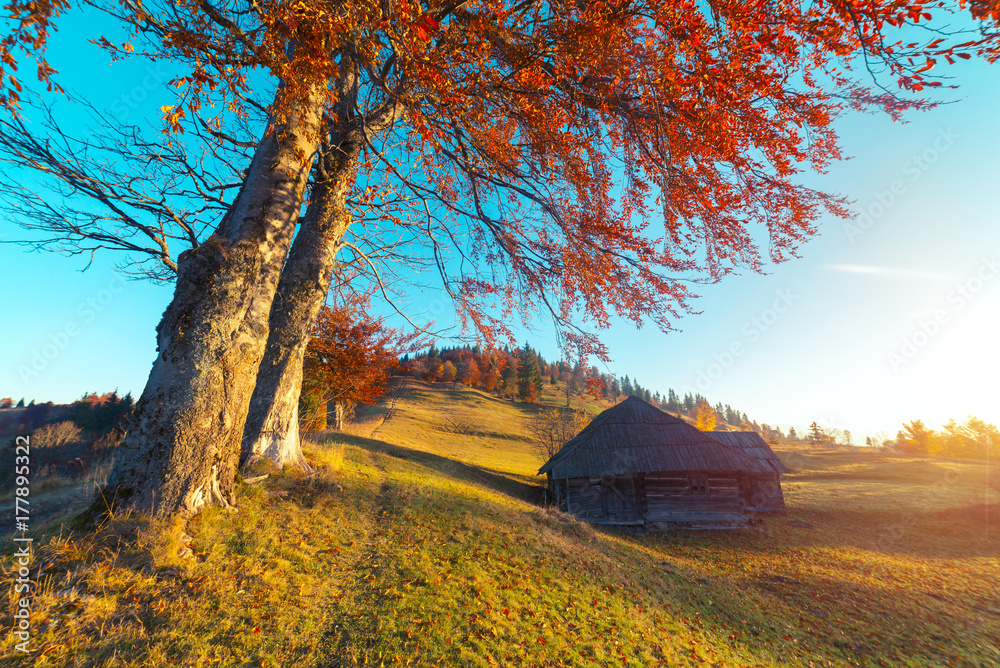 Colorful autumn landscape in the mountain village. Foggy morning in the Carpathian mountains. Sokilsky ridge, Ukraine, Europe. Colorful autumn landscape in the mountain village. Foggy morning in the Carpathian mountains. Sokilsky ridge, Ukraine, Europe.