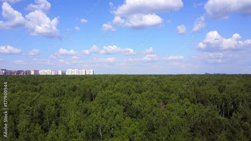 Aerial drone shot (landing) over the middle band forest with the city at background. Aerial drone shot (landing) over the middle band forest with the city at background.