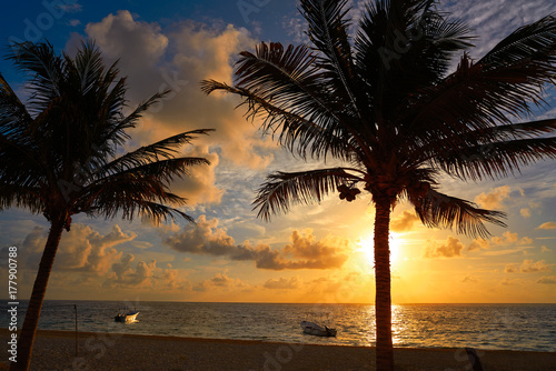 Caribbean sunrise palm trees Riviera Maya