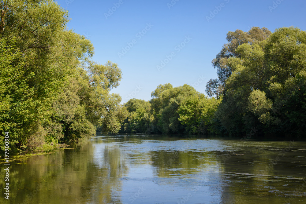 Beautiful reservoir in the thickets of the forest
