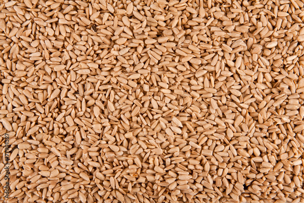 Peeled sunflower seeds background. Peeled sunflower seeds background.