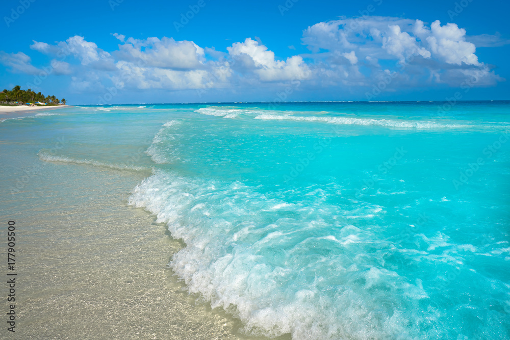 Fototapeta premium Tulum Caribbean beach in Riviera Maya