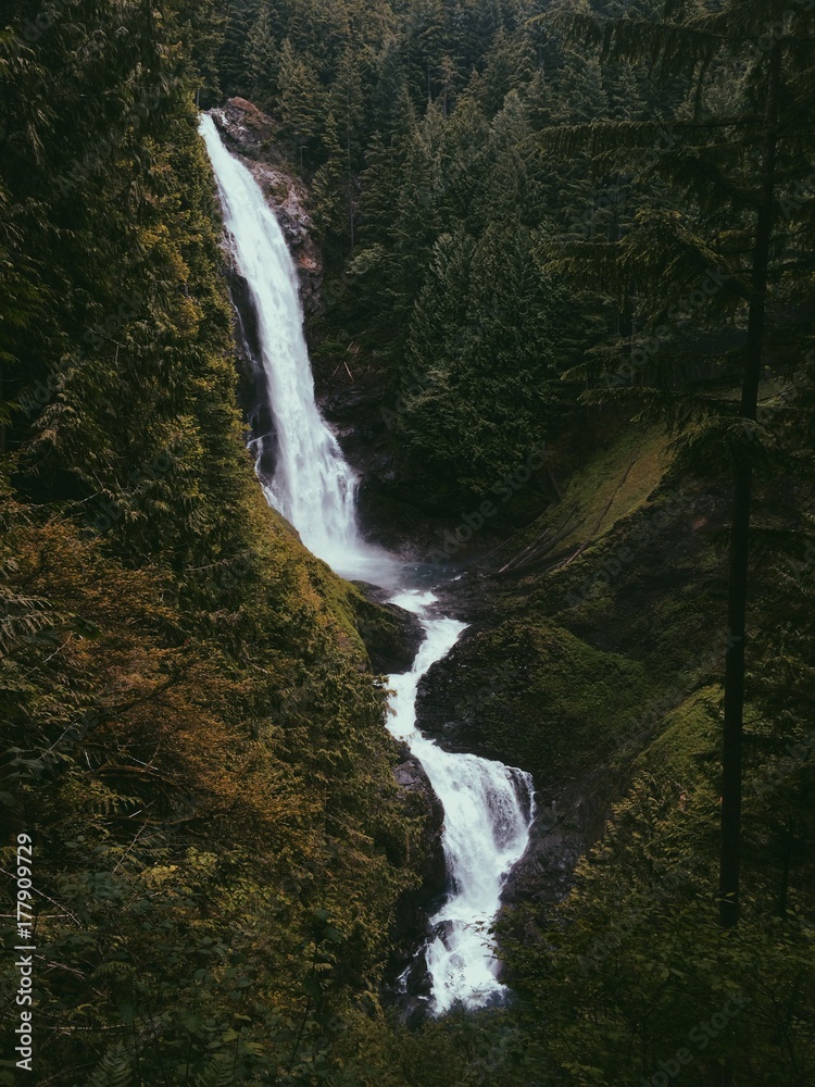 lush waterfall rushes through forest lush waterfall rushes through forest