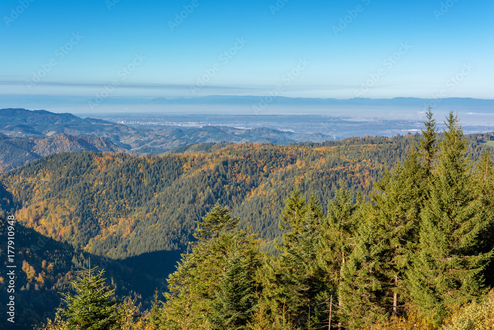 Autumn landscape - Black Forest. Panoramic view over the autumnal Black Forest, the Rhine valley and the Vosges (France) in the distance.