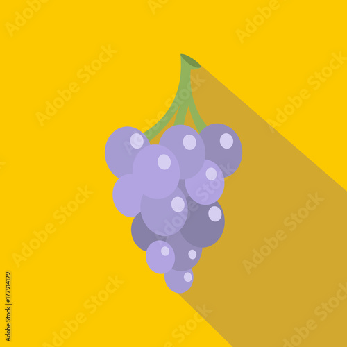 Grape icon, flat style