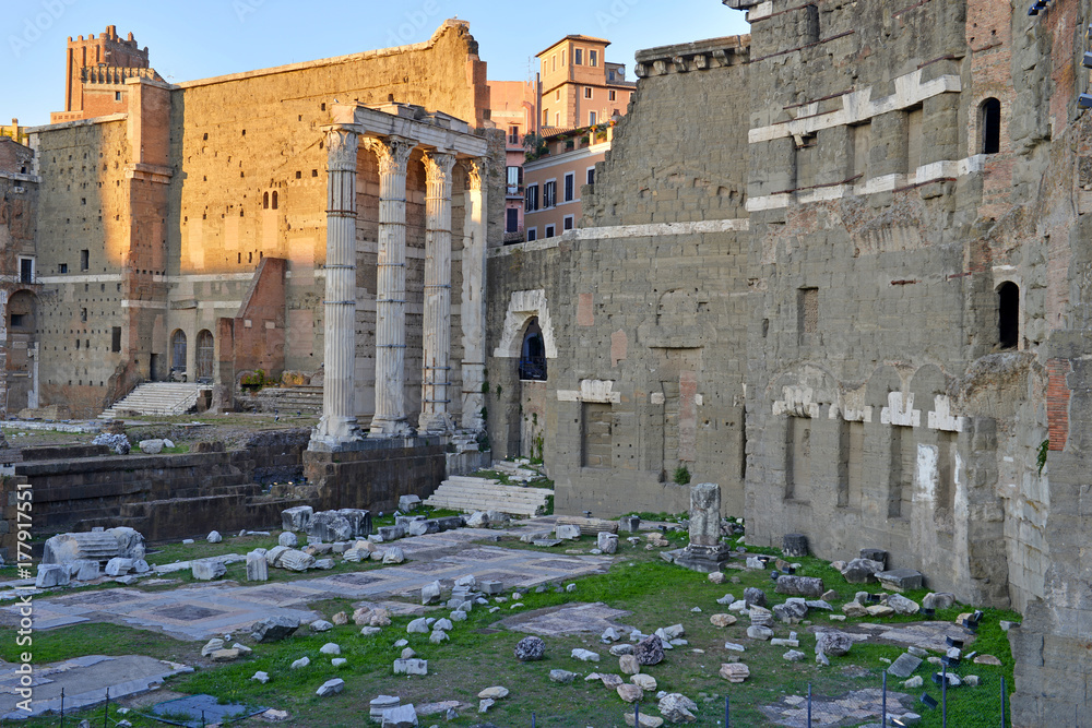 The ruins and remains of the Roman Forum in Rome Italy