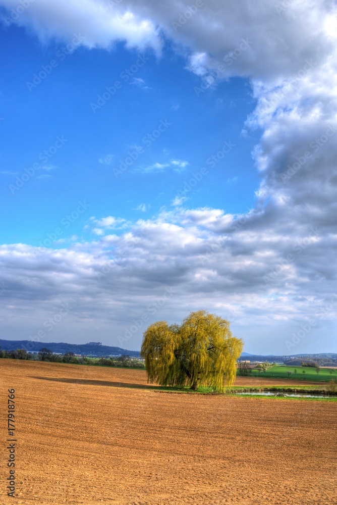 Fototapeta premium Herbstlandschaft Acker