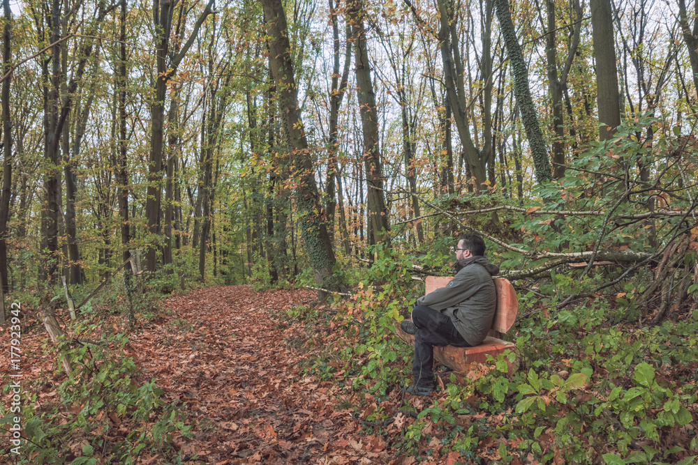 Man sitting on wooden bench in forest
