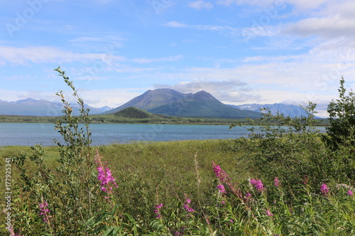 Fototapeta Naklejka Na Ścianę i Meble -  Natur- und Landschaft in Alaska