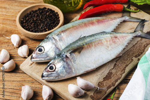 Indian mackerel Rastrelliger kanagurta