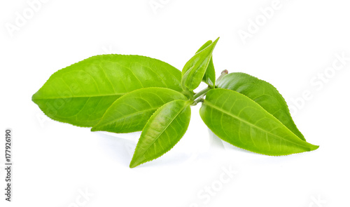 green tea leaf isolated on white background