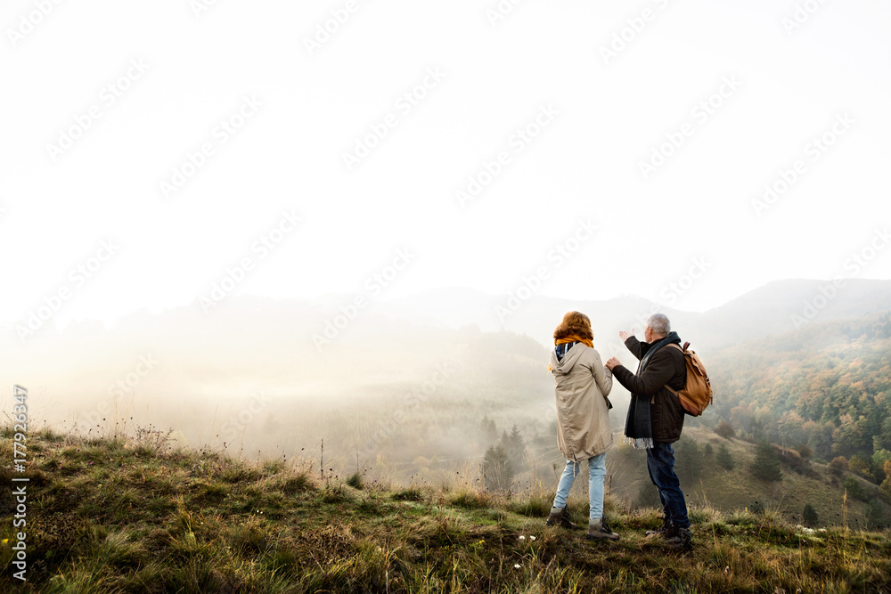 Senior couple on a walk in an autumn nature. Senior couple on a walk in an autumn nature.