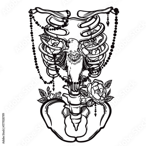 Skeleton ribs, bird and flowers. Vintage vector illustration. Tattoo style. Great for tattoos, print t-shirts and coloring books.