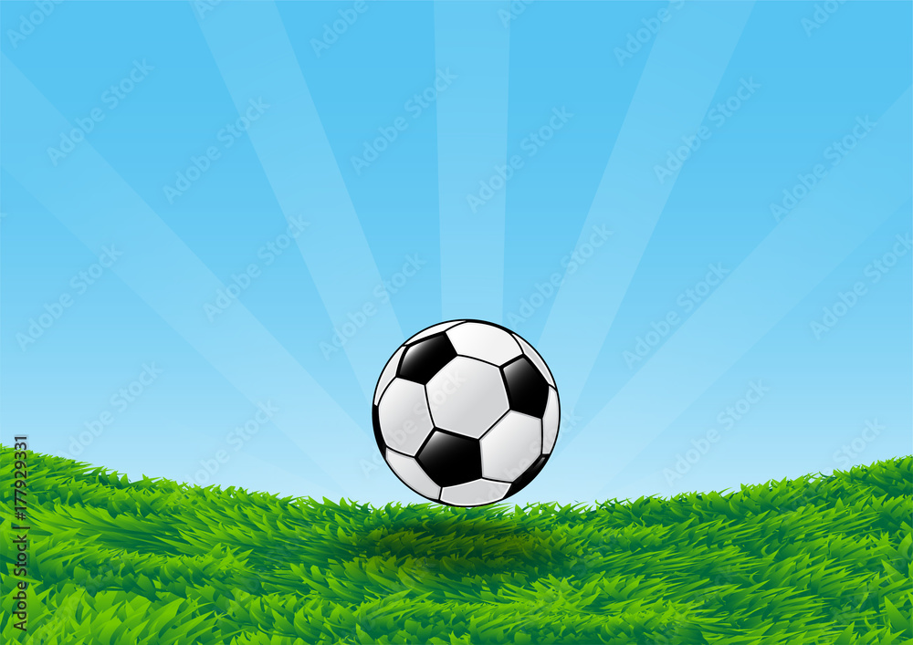 Fototapeta premium Soccer Ball on Grass Field with blue sky-Vector Illustration