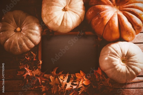 Diverse pumpkin surround black screen and leaf 