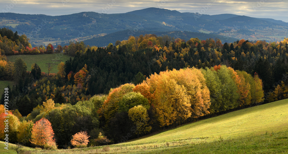 Soft light spot on gentle rolling hills with trees in vivid autumn colours, Sumava, Böhmerwald, Hrad Kasperk, Kasperske Hory