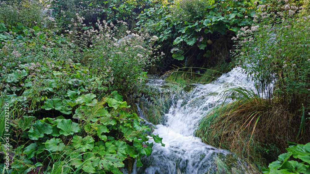 amazing landscape at the plitvice lakes in croatia amazing landscape at the plitvice lakes in croatia