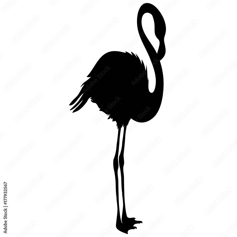 Fototapeta premium Flamingo silhouette, vector, illustration