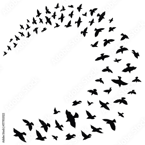 Silhouette of a flock of birds. Black contours of flying birds. Flying pigeons. Tattoo.