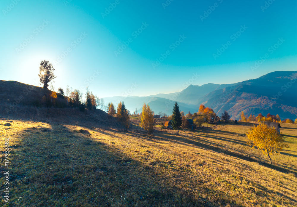Fototapeta premium highland vegetation modest summer and unusually beautiful colors blooms in autumn, before cold weather. Blueberries bright red, coniferous forest green, orange buk- mountains sinie- fantastic charm.