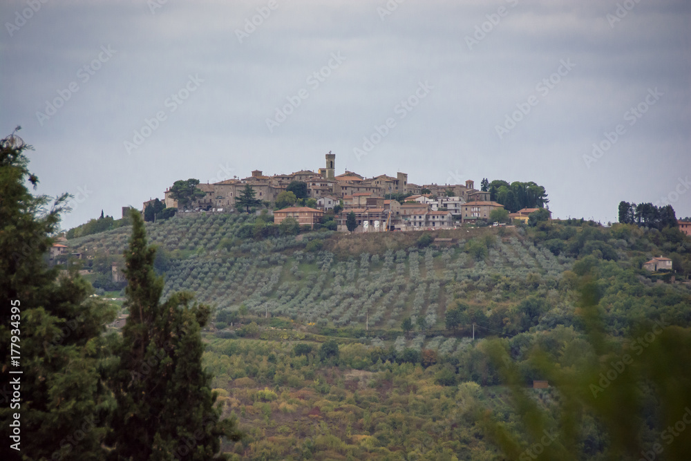 Classic hill town scene in Umbria, Italy.  Fields of olive trees in the foreground
