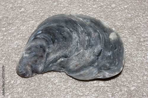 shell nacre