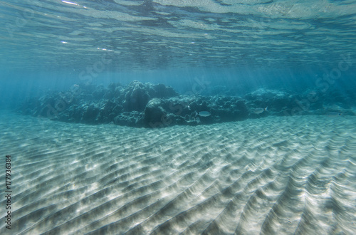 Unterwasserwelt mit Felsenriff