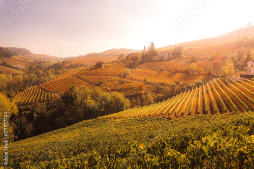 Langhe, Piedmont, Italy. Autumn landscape