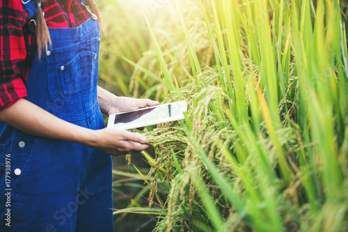 Farmer woman, Planter woman holding a tablet.