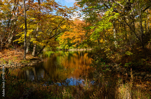北海道 大沼国定公園の紅葉