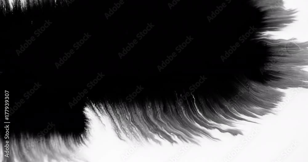 Beautiful ink spill absorbing into white background