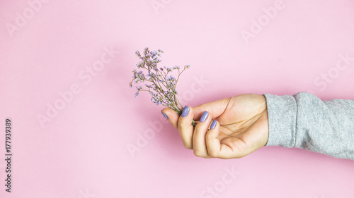 Limonium flowers in female hands with lilac manicure