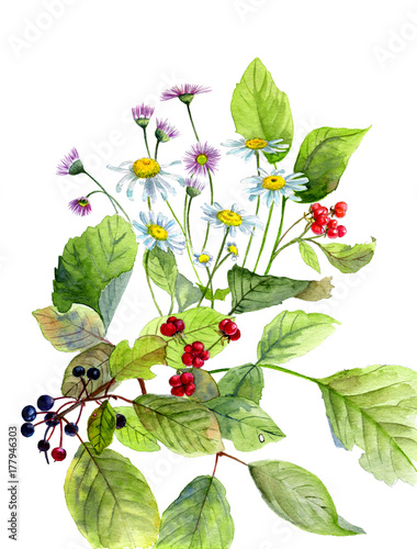 Watercolor composition of flowers and wild berries, and green leaves