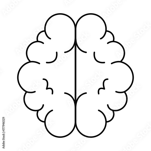 brain organ isolated icon