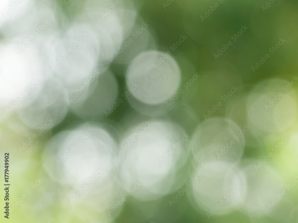 Obraz premium Green bokeh from nature for background